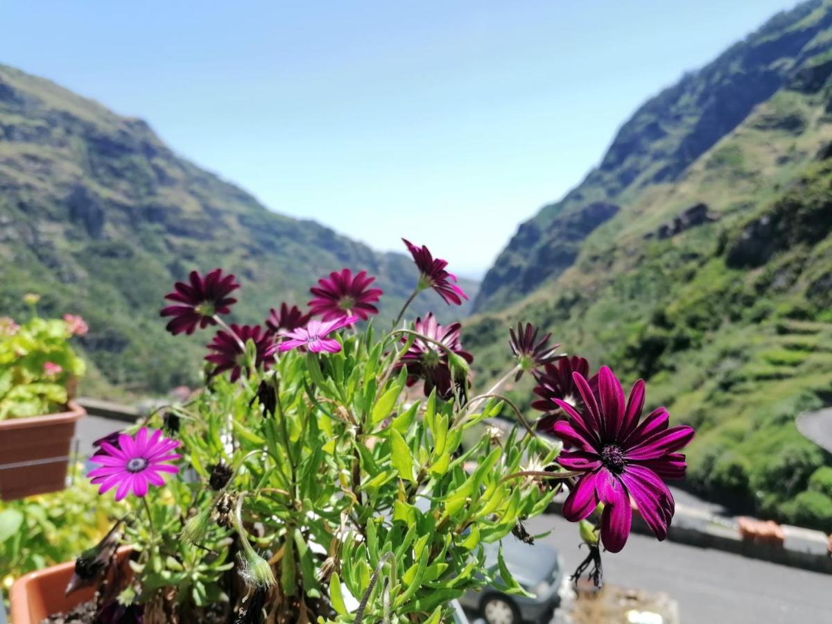 Green Valley House Madeira Ribeira Brava Exteriér fotografie