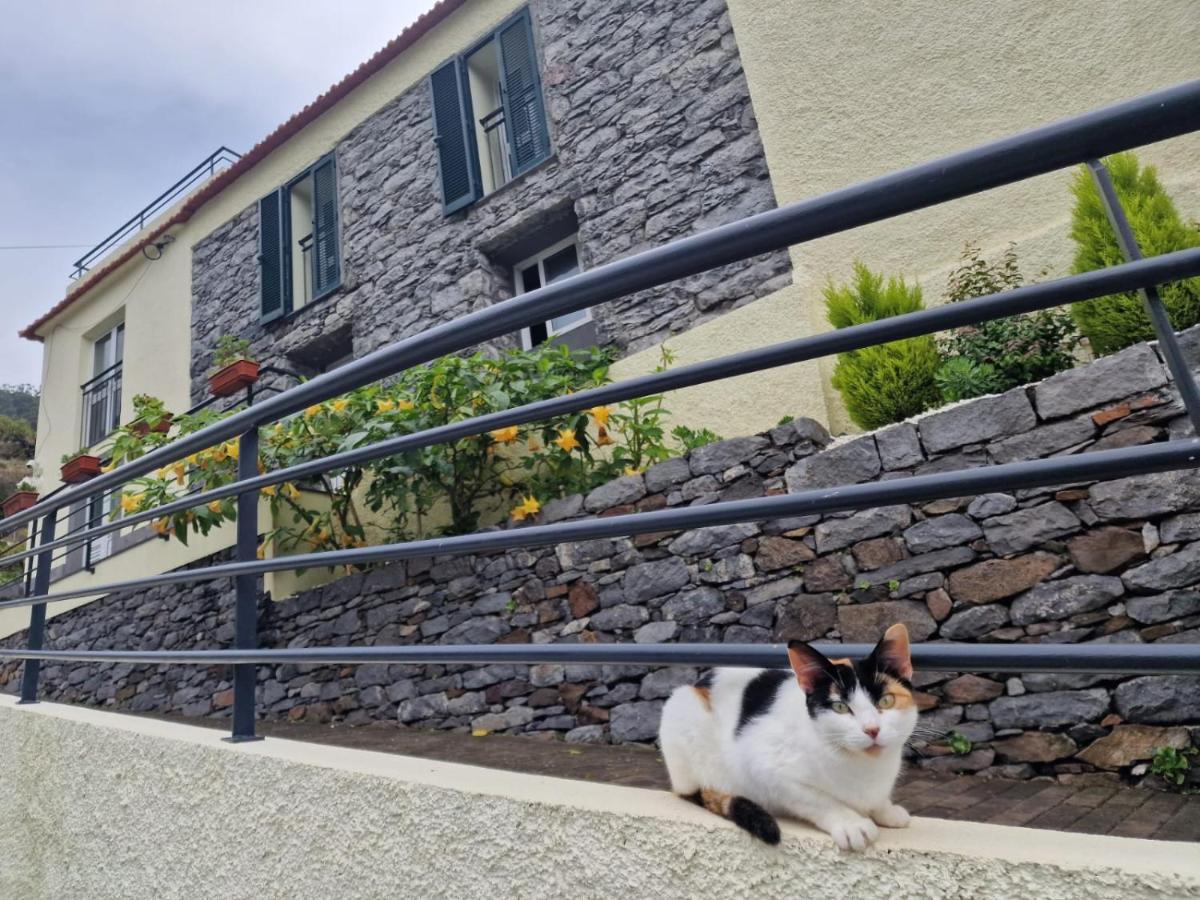 Green Valley House Madeira Ribeira Brava Exteriér fotografie